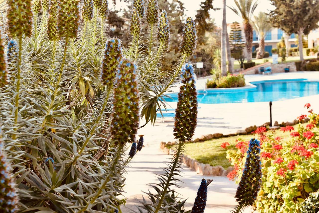 Paradise Gardens Mediterranean Home Paphos ภายนอก รูปภาพ