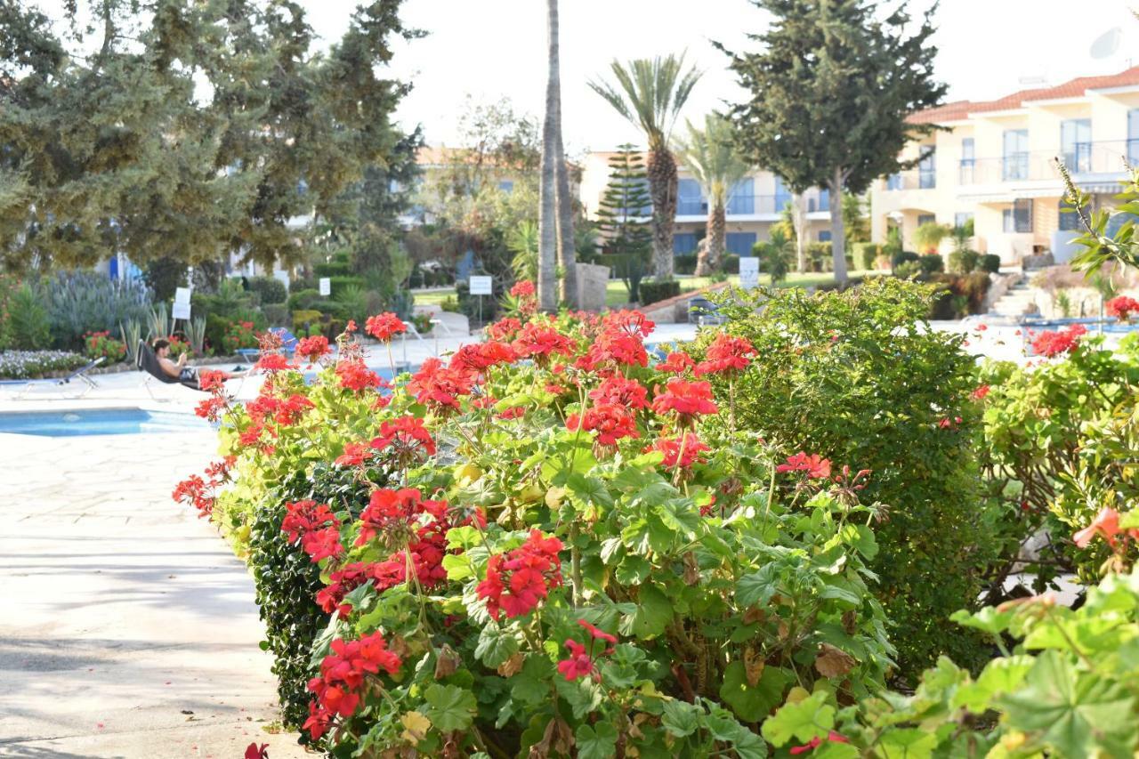Paradise Gardens Mediterranean Home Paphos ภายนอก รูปภาพ